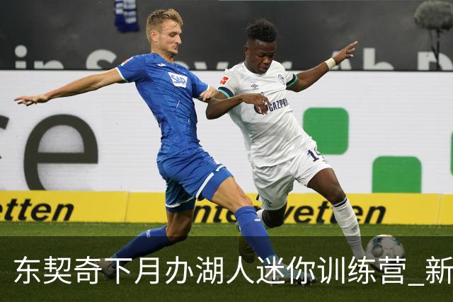 东契奇下月办湖人迷你训练营 新阵容斯洛文尼亚磨合