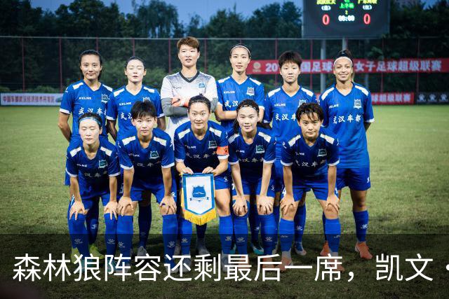 森林狼阵容还剩最后一席，凯文·乐福或迎回归契机